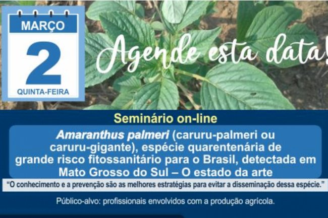 Evento on-line apresentará detalhes de nova planta daninha presente em Mato Grosso do Sul