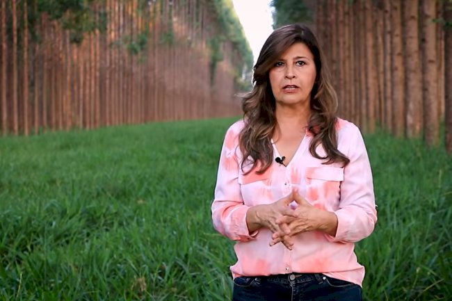 Sucesso com ILPF na Fazenda Santa Brígida é tema de live imperdível nesta quarta