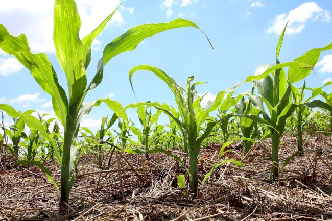FEBRAPDP aposta na capilaridade e multiplicidade para levar SPD ainda mais longe