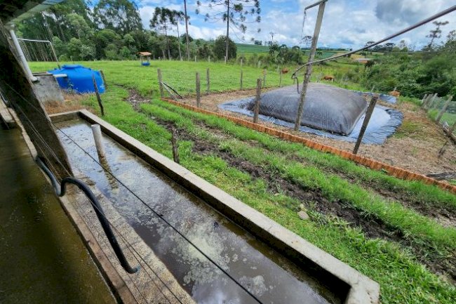 Em preparação ao 5º Fórum Sul Brasileiro de Biogás e Biometano, webinar apresenta cases e discute potencialidades para o meio rural
