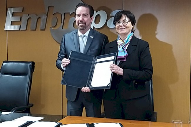 Itália e Brasil ampliam acordo de cooperação para o desenvolvimento de modelo sustentável para a agricultura