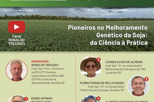 Potencial genético da soja já chega a 200 sacas por hectare. Como essa história foi construída?