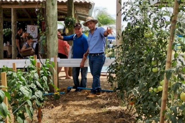 Expoagro Afubra destaca Sistema de Plantio Direto de Hortaliças