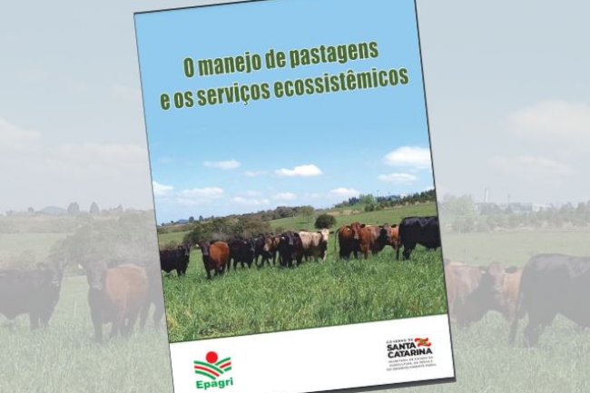 Publicação da Epagri mostra como o manejo da pastagem nativa pode melhorar o meio ambiente
