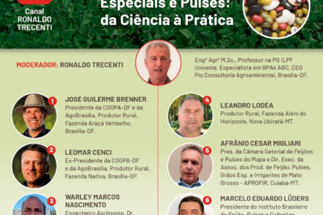 Em debate, o cenário para feijões especiais e pulses no Cerrado