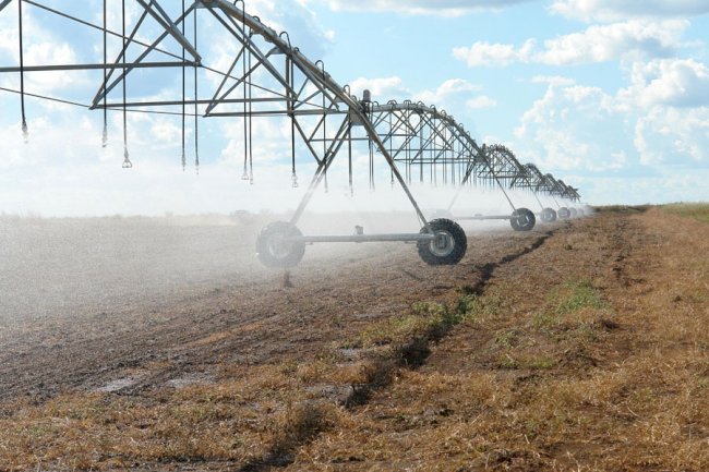 Sistema de Classificação de Terras para Irrigação agora abrange soja e arroz
