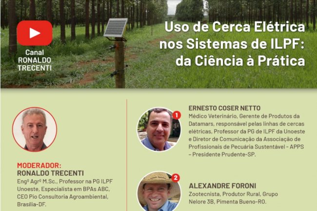 Cercas elétricas: importância e uso estratégico é tema de live nesta quarta-feira