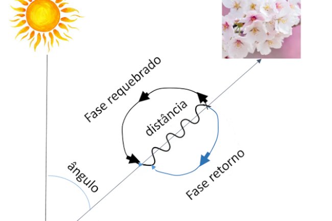 A dança das abelhas