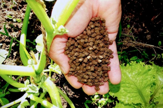 Produtos biológicos: além do controle das doenças