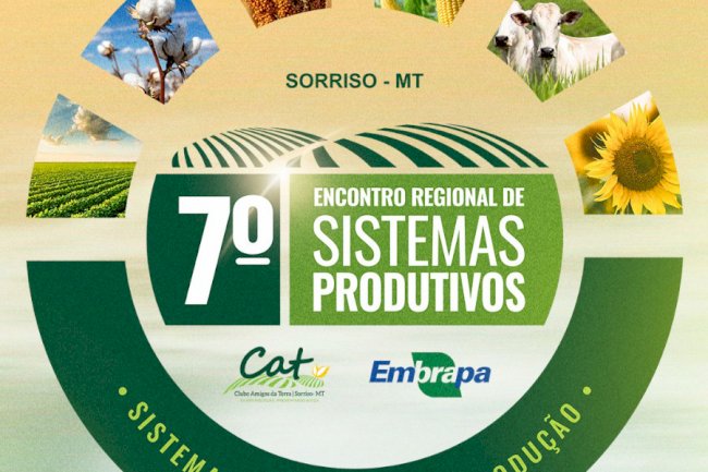 Evento em Sorriso (MT) apresenta resultados do uso de consórcios forrageiros em sistemas com soja