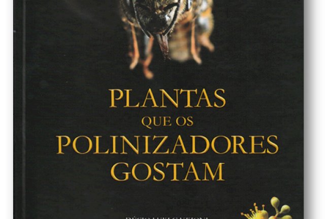 Plantas que os polinizadores gostam