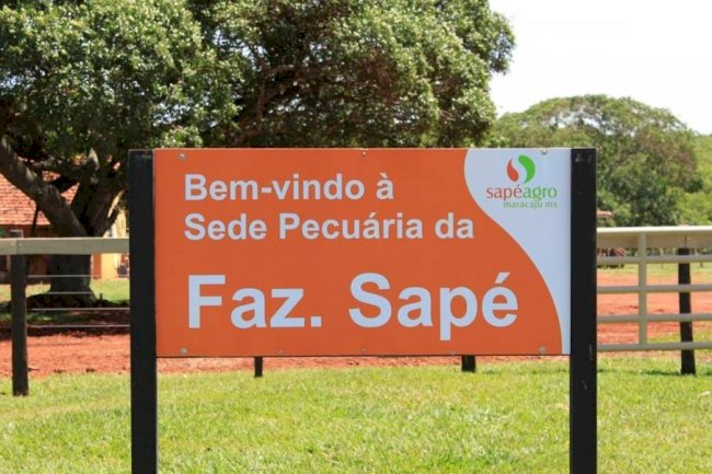 Caso de sucesso da Fazenda Sapé em ILP é tema de live nesta quarta, 14