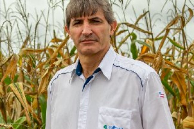 SPD na Bahia: novas opções de culturas economicamente viáveis podem fortalecer atividade mais sustentável