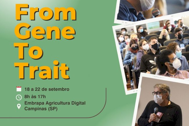 Centro de Pesquisa em Genômica para Mudanças Climáticas oferece curso gratuito de biotecnologia vegetal