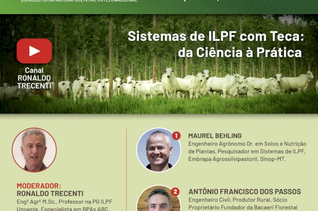 ILPF como o uso da teca é tema de live nesta quarta, 26