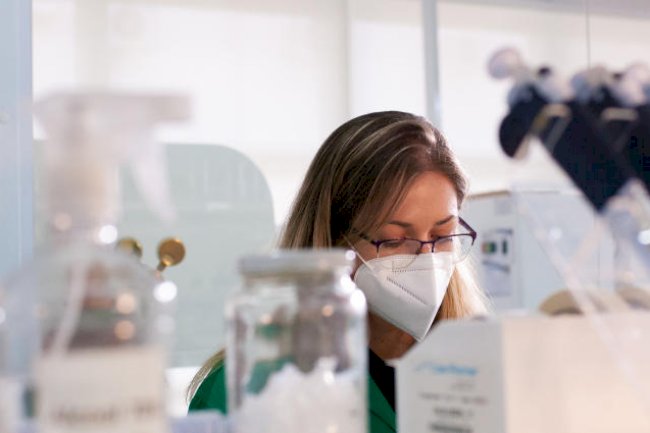 Publicação da Elsevier terá edição especial sobre inventários de carbono na agricultura e na silvicultura