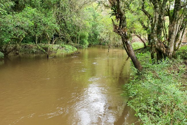 Paraná lança programa para ajudar agricultores a proteger 30 mil nascentes de água até 2026