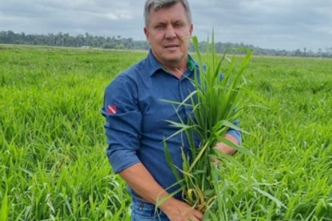 SPD no Pará: produtividade é argumento convincente