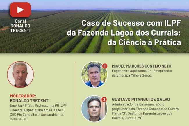 Live apresenta o caso de sucesso da Fazenda Lagoa dos Currais em ILPF, nesta quarta, 23