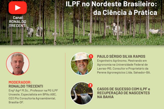 ILPF no Nordeste Brasileiro é tema de live nesta quarta-feira, 13