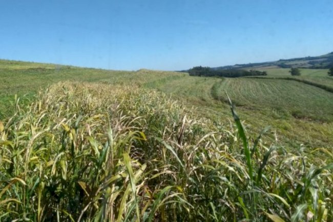 Epagri incentiva práticas conservacionistas de solo e água em SC