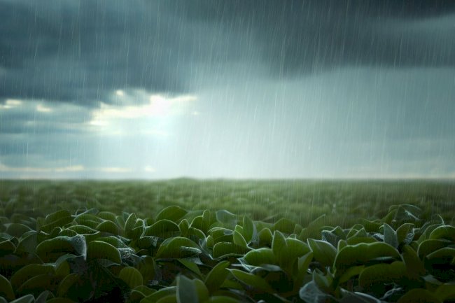 El Niño na agricultura: Estratégias para enfrentar um velho conhecido