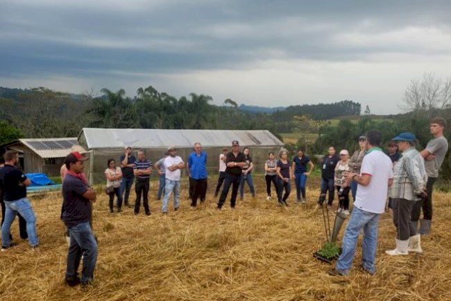 Agricultores de Curitibanos conhecem Sistema de Plantio Direto de Hortaliças (SPDH)