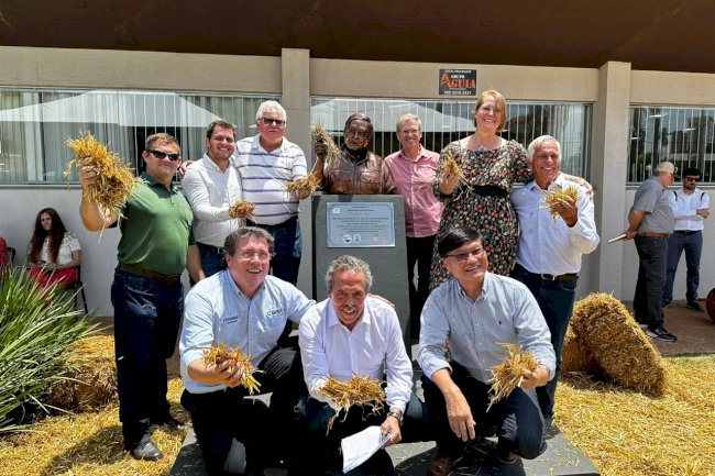 Dia para lembrar as conquistas e dialogar com o futuro