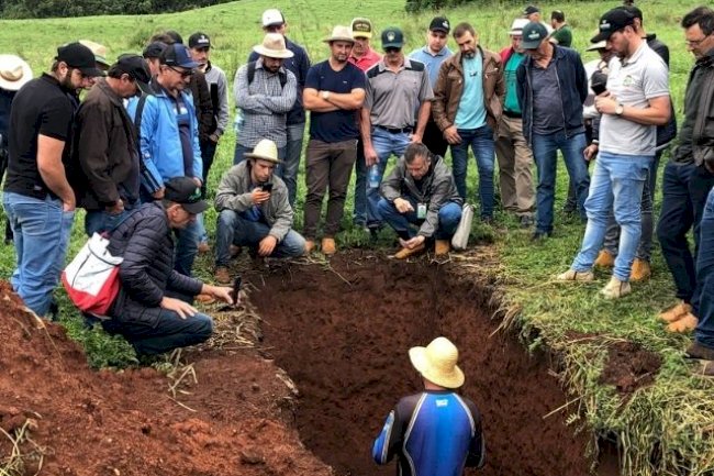 Agricultores do Oeste catarinense conhecem produção sustentável de grãos