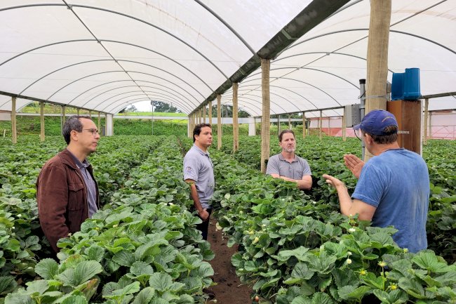 Projeto testa tecnologia para diminuir desperdício de água na irrigação