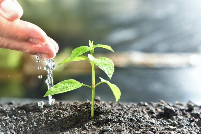 Adapar registra recorde no cadastro de produtos biológicos e similares