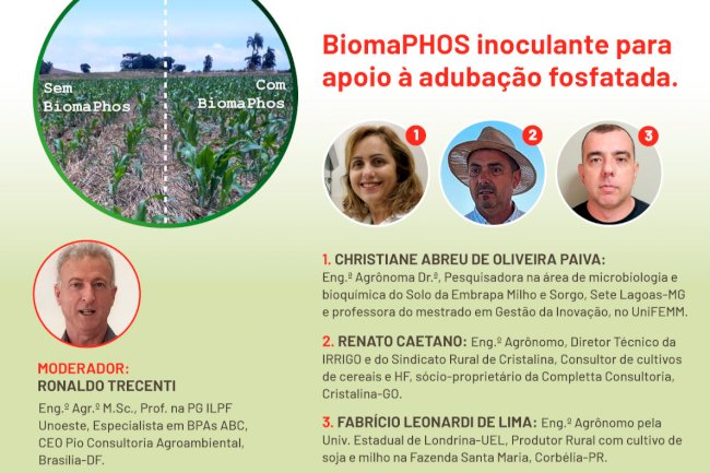 Produto com tecnologia brasileira pode reverter dependência externa por adubos fosfatados