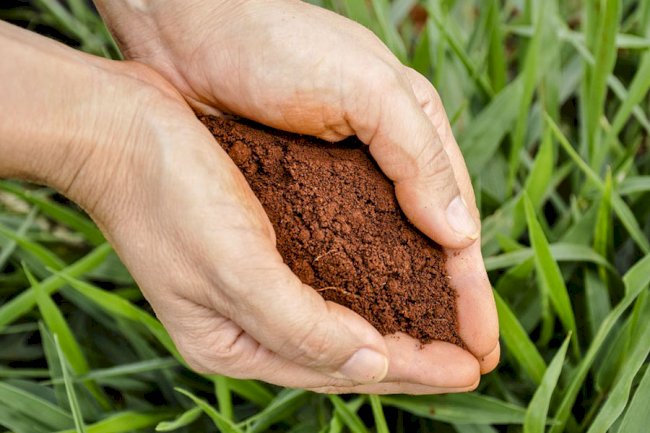 Banco reúne 28 mil amostras com dados biológicos dos solos brasileiros