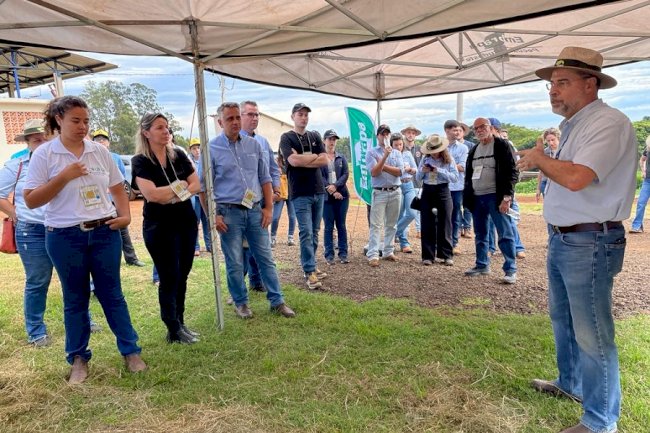 Especialistas demonstram vantagens dos sistemas ILPF
