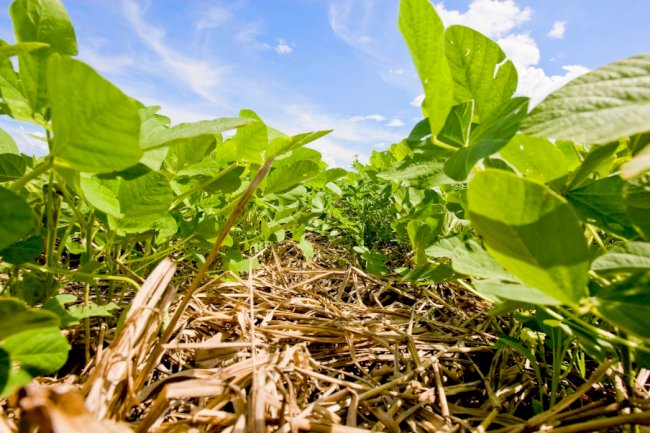 Quando dobraremos o PIB do agronegócio brasileiro?