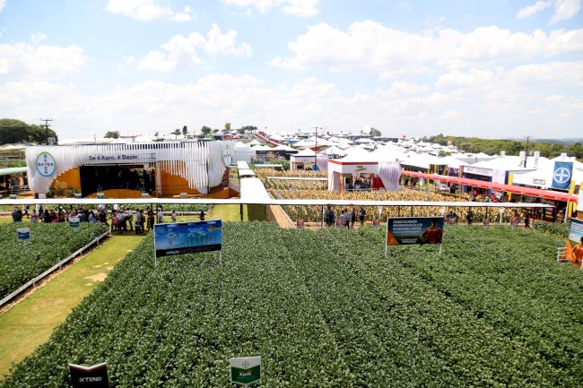 IDR-Paraná leva ao Show Rural agroecologia e ações de conservação do solo e da água