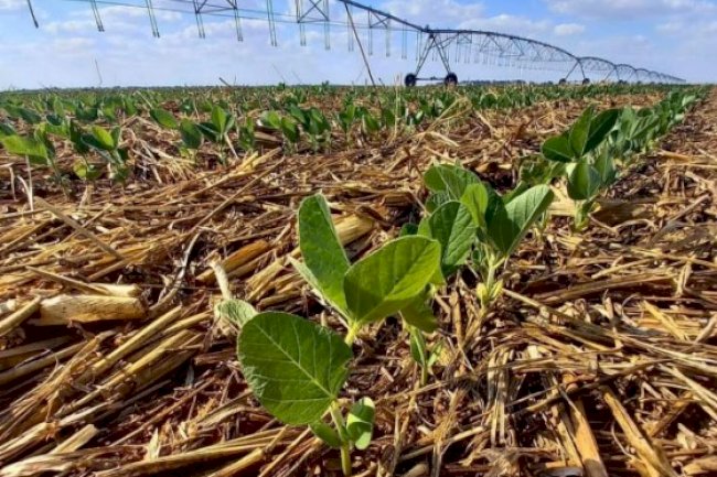 O que é que o Oeste da Bahia tem? Um cenário perfeito para o 19º ENPDP!