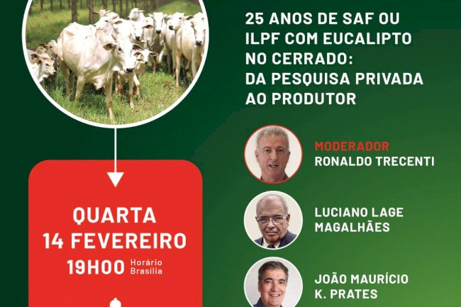 25 anos dos SAFs com eucalipto no Cerrado é tema de live nesta quarta