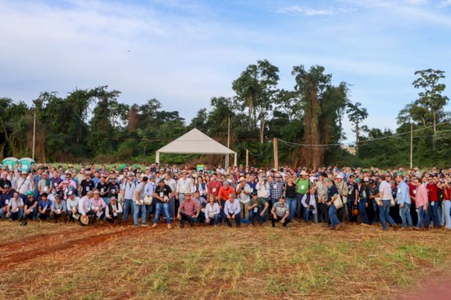 Uma experiência muito rica em conhecimento e futuro