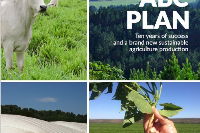 Plano ABC marca uma década de inovação em agricultura sustentável no Brasil