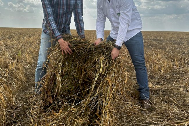 IQP: caminho para certificação das boas práticas na agricultura sustentável