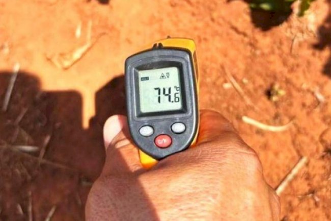 Temperatura do solo como indicador de manejo