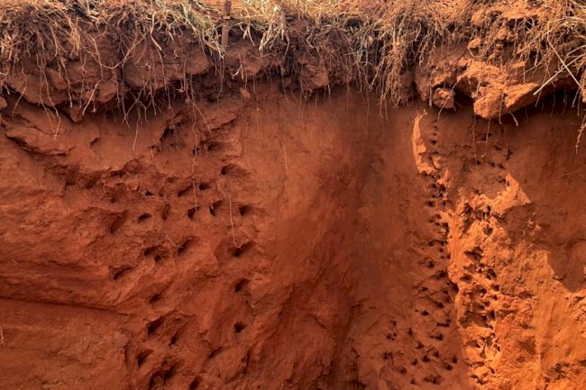 Ciência do solo no contexto das mudanças climáticas é tema de evento em Campo Grande, MS