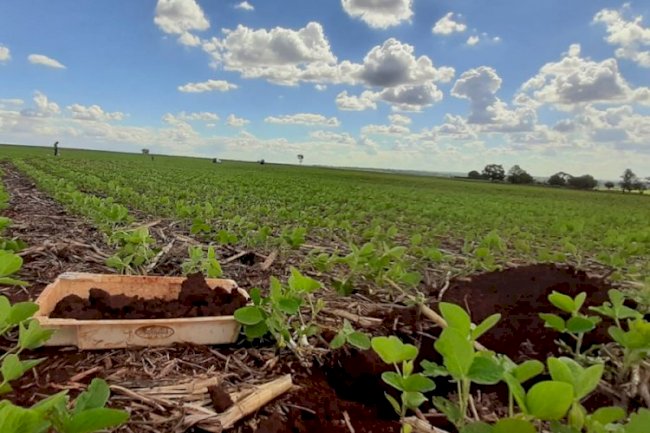 Solubilizadores e estratégias para manejo da fertilidade de solo