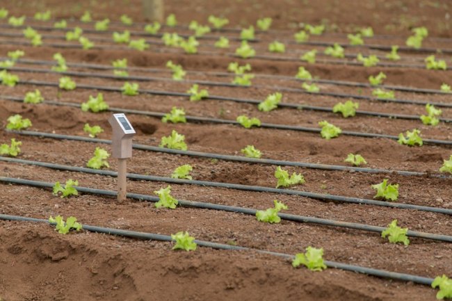 O desafio da irrigação digital