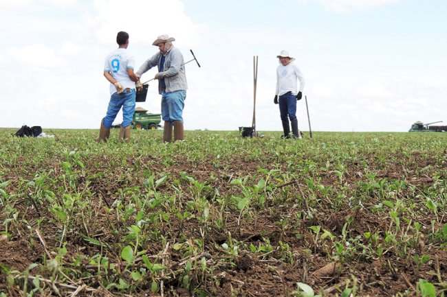 Pesquisa vai estimar carbono nos solos de microbacias do Matopiba