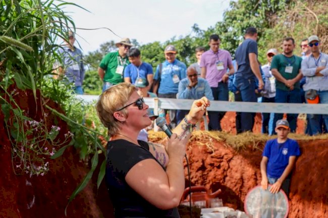 A olho nu: a biologia do solo e a dinâmica do carbono
