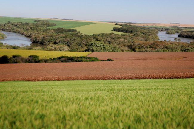 Sul debate práticas conjuntas para redução da emissão de gases de efeito estufa na agricultura