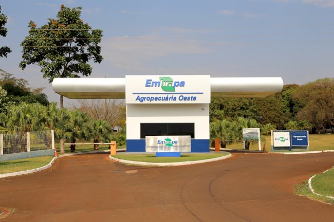 Diversificação da matriz econômica de Mato Grosso do Sul – oportunidades e desafios para as instituições de pesquisa