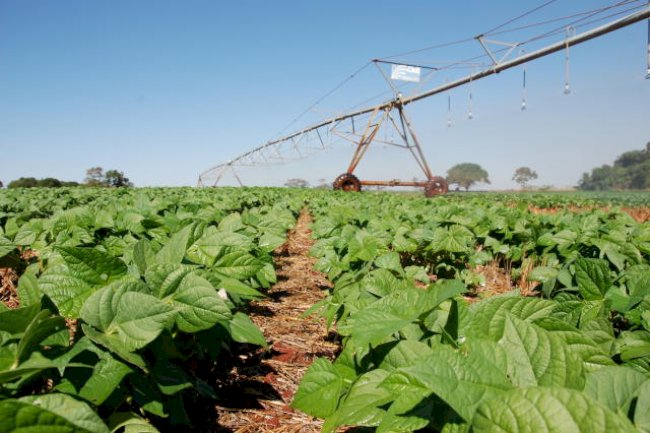 Onde queremos chegar?